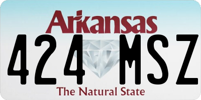 AR license plate 424MSZ