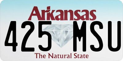 AR license plate 425MSU