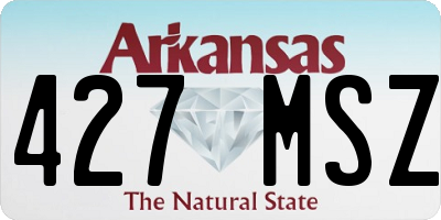 AR license plate 427MSZ