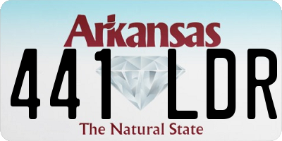 AR license plate 441LDR