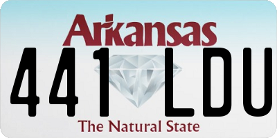 AR license plate 441LDU