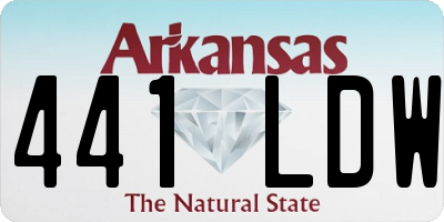 AR license plate 441LDW