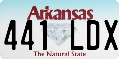 AR license plate 441LDX