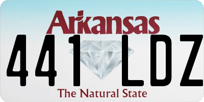 AR license plate 441LDZ