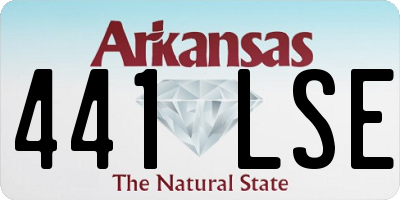 AR license plate 441LSE