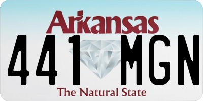 AR license plate 441MGN