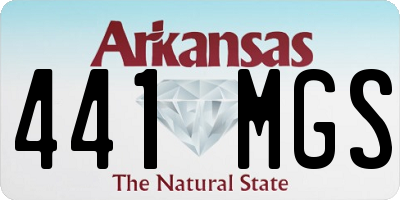 AR license plate 441MGS