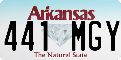 AR license plate 441MGY