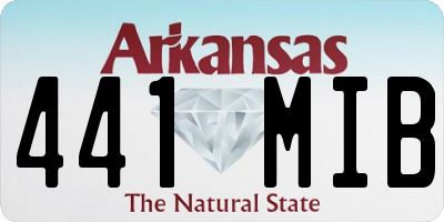 AR license plate 441MIB
