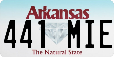 AR license plate 441MIE