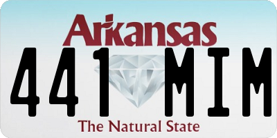 AR license plate 441MIM