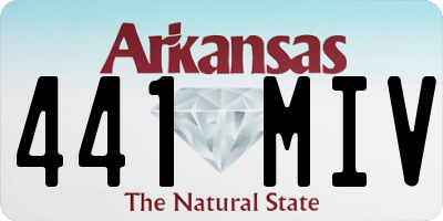 AR license plate 441MIV