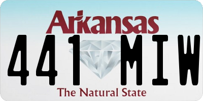 AR license plate 441MIW