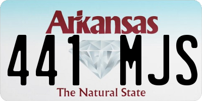 AR license plate 441MJS