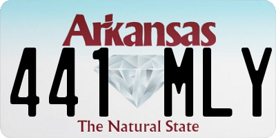 AR license plate 441MLY
