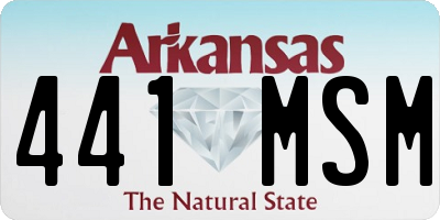 AR license plate 441MSM