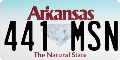 AR license plate 441MSN