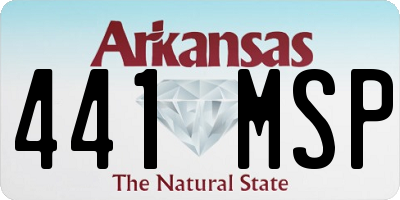 AR license plate 441MSP