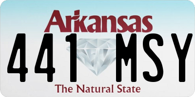 AR license plate 441MSY