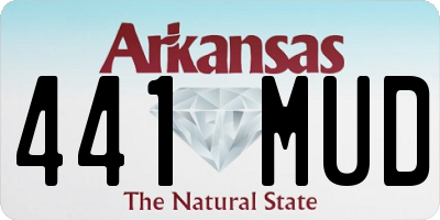 AR license plate 441MUD