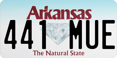 AR license plate 441MUE