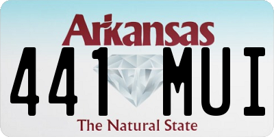 AR license plate 441MUI