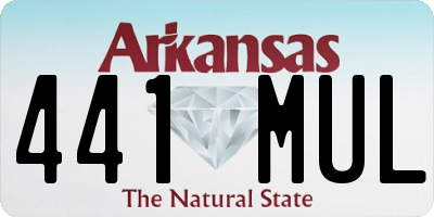 AR license plate 441MUL