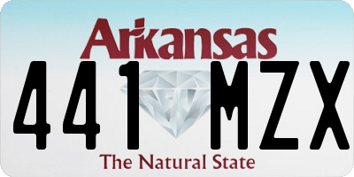 AR license plate 441MZX