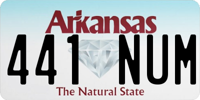 AR license plate 441NUM