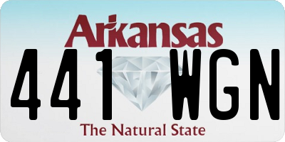 AR license plate 441WGN