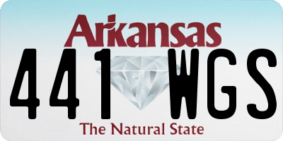 AR license plate 441WGS