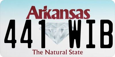 AR license plate 441WIB