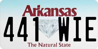 AR license plate 441WIE