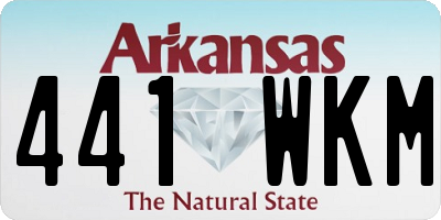 AR license plate 441WKM