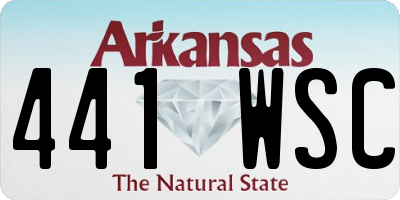 AR license plate 441WSC
