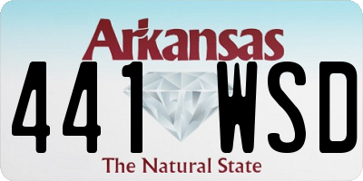 AR license plate 441WSD
