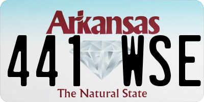 AR license plate 441WSE