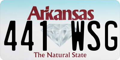 AR license plate 441WSG