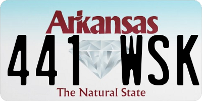 AR license plate 441WSK