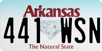 AR license plate 441WSN