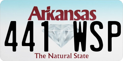 AR license plate 441WSP
