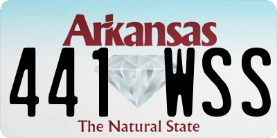 AR license plate 441WSS