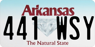 AR license plate 441WSY