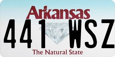 AR license plate 441WSZ