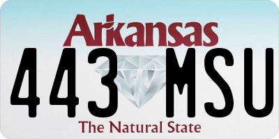 AR license plate 443MSU