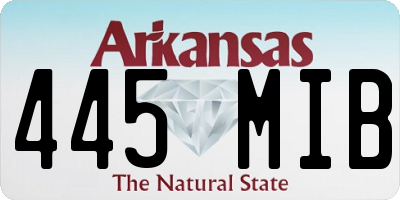 AR license plate 445MIB