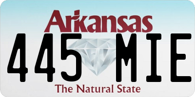 AR license plate 445MIE