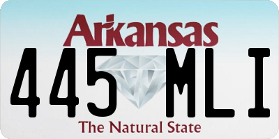AR license plate 445MLI