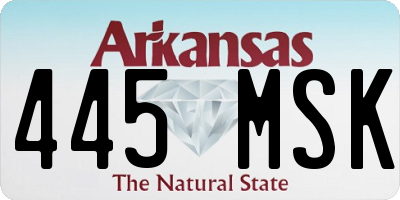 AR license plate 445MSK
