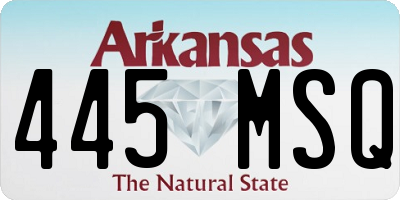AR license plate 445MSQ